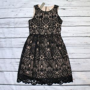 NWT NY&CO EVA MENDES BLACK LACE DRESS  SIZE 6